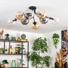 Gastor Plafoniera, Lampada a sfera Ambrato, Chiaro, Grigio fumo, 8-Luci