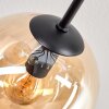 Gastor Plafoniera, Lampada a sfera Ambrato, Chiaro, Grigio fumo, 8-Luci