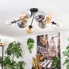 Gastor Plafoniera, Lampada a sfera Ambrato, Chiaro, Grigio fumo, 8-Luci
