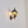 Naofe Lampada da parete per esterno, Applique Marrone, Oro, 1-Luce