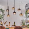 Ripoll Lampadario a sospensione, Lampada a sfera, Lampada a sospensione Ambrato, Chiaro, Grigio fumo, 6-Luci