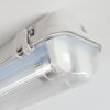 Ilena Plafoniera da esterno, Illuminazione esterna, Illuminazione bagno, Faro da cantiere, Plafoniera LED Grigio, 1-Luce