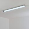 Ilena Plafoniera da esterno, Illuminazione esterna, Illuminazione bagno, Faro da cantiere, Plafoniera LED Grigio, 1-Luce