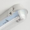 Ilena Plafoniera da esterno, Illuminazione esterna, Illuminazione bagno, Faro da cantiere, Plafoniera LED Grigio, 1-Luce