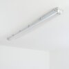 Ilena Illuminazione esterna, Illuminazione bagno, Plafoniera LED Grigio, 1-Luce