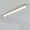 Ilena Plafoniera da esterno, Illuminazione esterna, Illuminazione bagno, Faro da cantiere, Plafoniera LED Grigio, 1-Luce