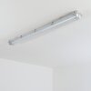 Ilena Plafoniera da esterno, Illuminazione esterna, Illuminazione bagno, Faro da cantiere, Plafoniera LED Grigio, 1-Luce