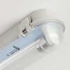 Ilena Plafoniera da esterno, Illuminazione esterna, Illuminazione bagno, Faro da cantiere, Plafoniera LED Grigio, 1-Luce