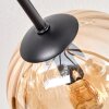 Koyoto Plafoniera, Lampada a sfera 85 cm Ambrato, Chiaro, Grigio fumo, 8-Luci