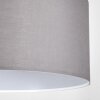 Pilaru Lampadario a sospensione, Lampada a sospensione Cromo, Nichel opaco, 1-Luce