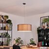 Pilaru Lampadario a sospensione, Lampada a sospensione Cromo, Nichel opaco, 1-Luce