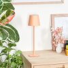 Salgadinho Lampada da tavolo per esterno, Lampada da tavolo LED Bianco, 1-Luce