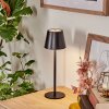 Salgadinho Lampada da tavolo per esterno, Illuminazione bagno, Lampada da tavolo LED Nero, 1-Luce