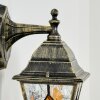 Naofe Lampada da parete per esterno, Applique Oro, Nero, 1-Luce