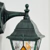 Naofe Lampada da parete per esterno, Applique Verde, Nero, 1-Luce