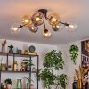 Gastor Plafoniera, Lampada a sfera Ambrato, Chiaro, Grigio fumo, 8-Luci