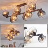 Koyoto Plafoniera, Lampada a sfera Ambrato, Chiaro, Grigio fumo, 10-Luci