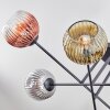 Ripoll Plafoniera, Lampada a sfera Oro, Chiaro, Ramato, Grigio fumo, 6-Luci
