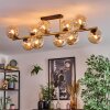 Gastor Plafoniera, Lampada a sfera Oro, Nero, 10-Luci