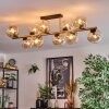 Gastor Plafoniera, Lampada a sfera Oro, Nero, 10-Luci