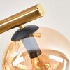Gastor Plafoniera, Lampada a sfera Oro, Nero, 10-Luci