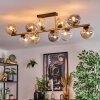 Gastor Plafoniera, Lampada a sfera Oro, Nero, 10-Luci