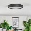 Isela Plafoniera LED Nero, 1-Luce