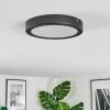 Isela Plafoniera LED Nero, 1-Luce
