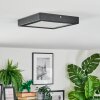 Isela Plafoniera LED Nero, 1-Luce
