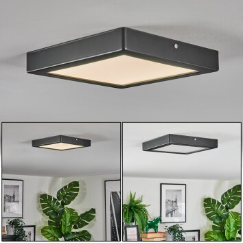 Isela Plafoniera LED Nero, 1-Luce