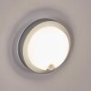 Jelad Lampada da parete per esterno, Applique LED Argento, 1-Luce, Sensori di movimento