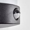 Heran Lampada da parete per esterno, Applique LED Nero, 1-Luce, Sensori di movimento