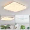 Loden Plafoniera LED Bianco, 1-Luce