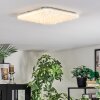 Loden Plafoniera LED Bianco, 1-Luce