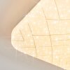 Loden Plafoniera LED Bianco, 1-Luce