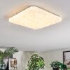 Loden Plafoniera LED Bianco, 1-Luce