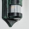 Naofe Lampada da parete per esterno, Applique Verde, Nero, 1-Luce, Sensori di movimento