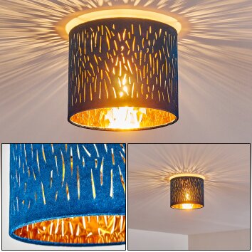 Liared Plafoniera Nichel opaco, 1-Luce