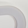 Paleroo Applique da esterno LED Bianco, 1-Luce