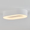 Paleroo Plafoniera da esterno LED Bianco, 1-Luce