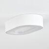Paleroo Plafoniera da esterno LED Bianco, 1-Luce