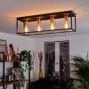 Malao Plafoniera Oro rosa, Nero, 4-Luci