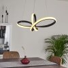 Ignal Lampadario a sospensione LED Nero, 1-Luce