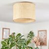 Sabadim Plafoniera beige, Écru, 1-Luce