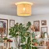 Sabadim Plafoniera beige, Écru, 1-Luce