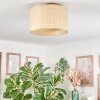 Sabadim Plafoniera beige, Écru, 1-Luce