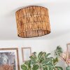 Cando Plafoniera Écru, 1-Luce