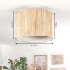 Bongal Plafoniera beige, Écru, 1-Luce