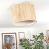 Bongal Plafoniera beige, Écru, 1-Luce
