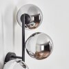 Gastor Lampada a sfera, Applique Cromo, Grigio fumo, 3-Luci